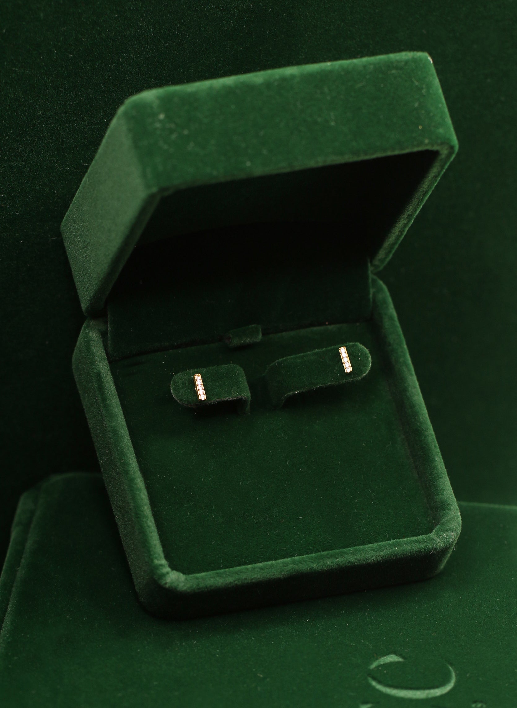 Puces d'oreilles Ekta Étoilée