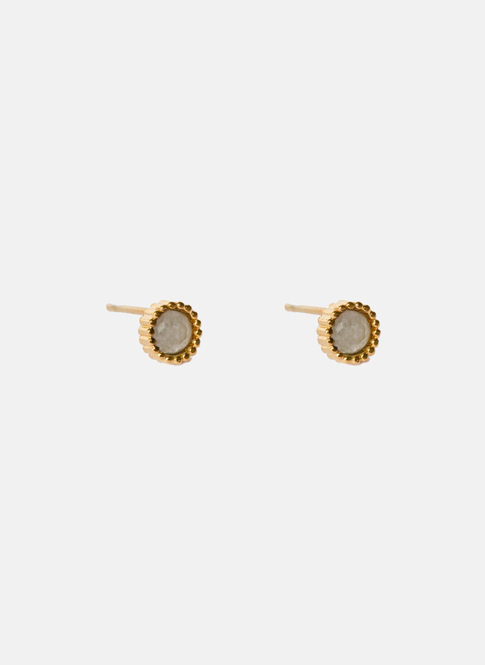 Puces d'oreilles Leto